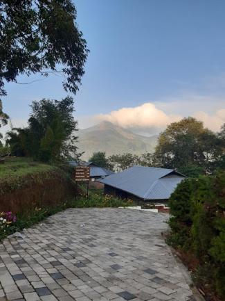 Hotel Ottway Hills Near Mattupetty Dam Munnar Zewnętrze zdjęcie